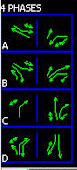 SCATS Phases Graphic